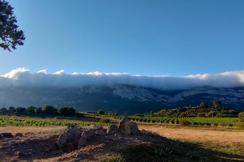 Zaldivar Etxea Leza Bagian luar foto